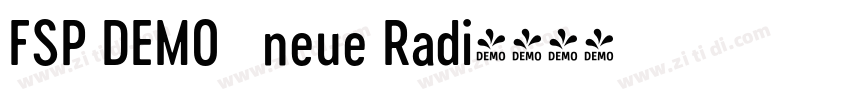 FSP DEMO   neue Radi字体转换